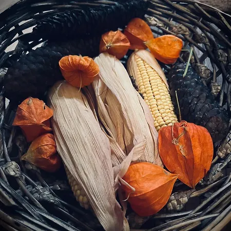 Cozy * Σαράγεβο